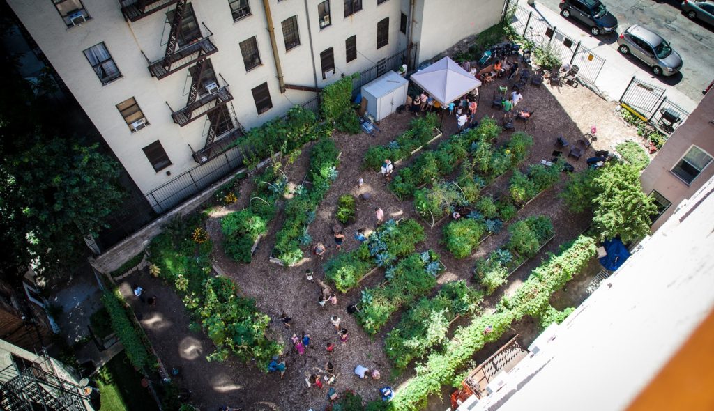 Aerial view of Electric Ladybug Garden in Harlem