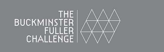 Buckminster Fuller Challenge