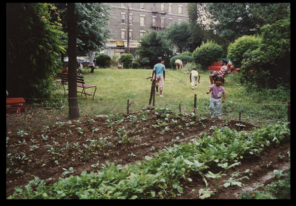 People walk in grass outside garden rows