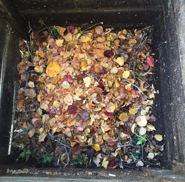 Food scraps for compost