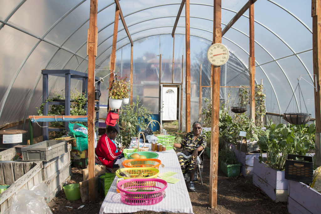 Green Valley Community Farm breaks ground on new aquaponics system
