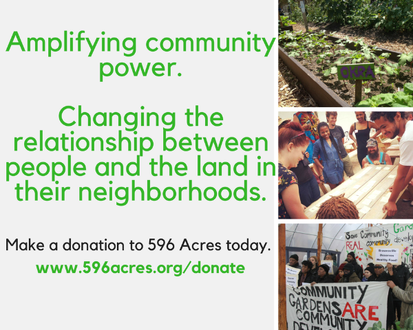 Amplifying community power. Changing the relationship between people and the land in their neighborhoods. Make a donation to 596 Acres today.